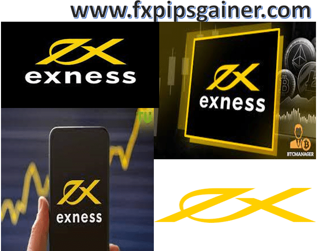 Understanding the Exness Partner Loyalty Program Benefits and Opportunities